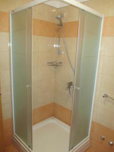 a shower with a glass door in a bathroom at Apartments Manjan in Krasno Polje