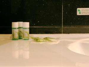 Vannituba majutusasutuses Le Pietri Urban Hotel