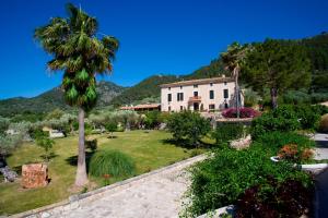 a house with a palm tree in a garden at Monnaber Nou Finca Hotel & Spa in Campanet