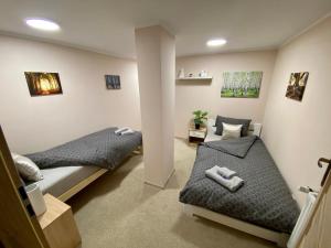 een slaapkamer met 2 bedden en een paal bij Apartamenty W Brzozowym Gaju in Kudowa-Zdrój