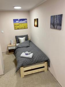 Posteľ alebo postele v izbe v ubytovaní Apartamenty W Brzozowym Gaju
