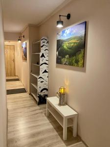 Televízia a/alebo spoločenská miestnosť v ubytovaní Apartamenty W Brzozowym Gaju