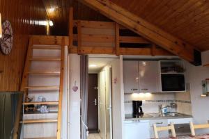 a kitchen with a loft bed in a room at GREEN APPLE CARROZ Duplex WIFI Garage Balcon-Sud Vue Montagne in Les Carroz d'Araches