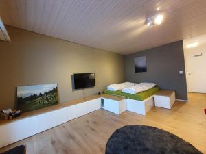 TV a/nebo společenská místnost v ubytování Zentrum Lai 176 Hm Whg 103 Steibogg