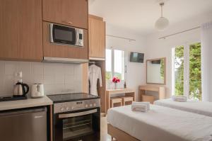 Gallery image of Studios Angeliki in Lassi