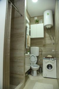 Bagno di Apartmani Sofronic Loznica 1