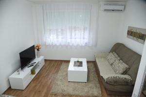 TV o dispositivi per l'intrattenimento presso Apartmani Sofronic Loznica 1