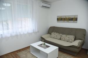 Area soggiorno di Apartmani Sofronic Loznica 1