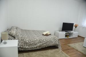 TV o dispositivi per l'intrattenimento presso Apartmani Sofronic Loznica 1