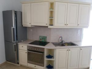 A kitchen or kitchenette at Agiassos Naxos Apartments