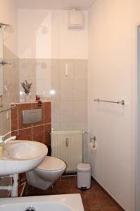 a bathroom with a sink and a toilet at Landhaus Blumenstein in Mülsen