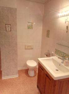 a bathroom with a toilet and a sink at Große Ferienwohnung auf Pferdehof Mitten in der Natur 