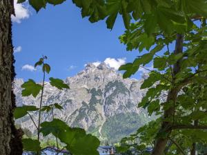 Paesaggio naturale nelle vicinanze dell'affittacamere