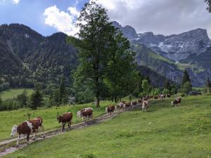 Paesaggio naturale nelle vicinanze dell'affittacamere
