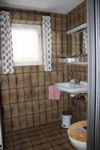 a bathroom with a sink and a toilet and a window at Haus Müller Adelheid in Hilders