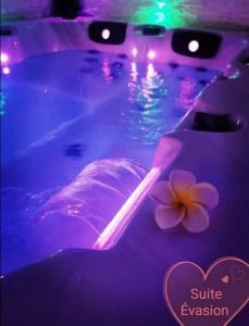 a swimming pool with purple lights and a purple flower at Lovely in Neuf-Mesnil