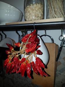 a white vase filled with red flowers on a shelf at CASETTE BRIGANTI - monolocali indipendenti con angolo cottura in Gallipoli