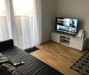 sala de estar con TV de pantalla plana en un soporte en Neubau Wohnung Stadlau, en Viena