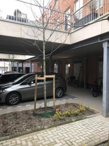 a car parked in a parking lot next to a tree at BenB Op de Trans, Arnhem op zijn best! in Arnhem