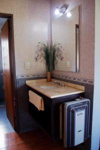 a bathroom with a sink and a mirror at Aparts serranos in San Antonio de Arredondo