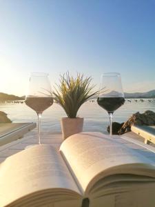 Putniković的住宿－Holiday Home Blue Dream，一张开放式的书和一张桌子上的两杯葡萄酒