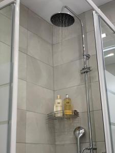 une douche avec deux bouteilles de savon sur une étagère dans l'établissement Athens Plaka House, à Athènes
