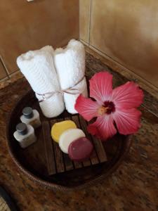 a pink flower and some towels in a bowl at Luxury Suites Vila Indonésia in Garopaba
