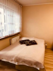 ein Schlafzimmer mit einem Bett mit einem Kissen darauf in der Unterkunft M.S. Piccolo in Żary