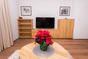Telewizja i/lub zestaw kina domowego w obiekcie Apartments Bergleben Goldegg