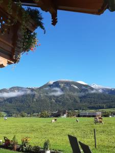 A general mountain view or a mountain view taken from Az apartmant