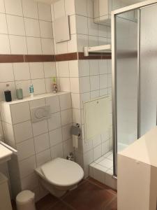 a small bathroom with a toilet and a shower at Au Pied des Pistes B 04 in Grimentz