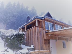 a wooden cabin in the snow with trees in the background at Mäcky Baude in Dippoldiswalde