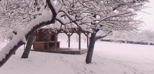 a building covered in snow next to two trees at Apartments Woodnotes in Ličko Petrovo Selo