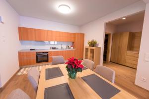 Kuchnia lub aneks kuchenny w obiekcie Apartments Bergleben Goldegg