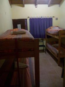 um quarto com 2 beliches e uma cortina azul em Milenarios Hostel em El Chaltén