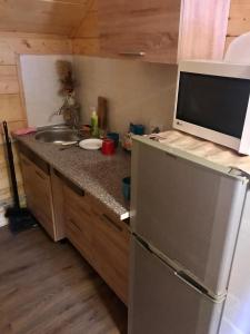 a kitchen with a sink and a microwave at За горбами in Yaremche