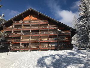 a building on top of a snow covered mountain at Agate n° 17 in Villars-sur-Ollon