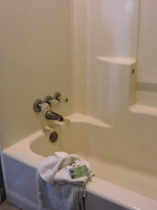 Ванная комната в Riata Inn - Crystal City