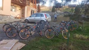 Jízda na kole v ubytování Pensiunea Moldovan nebo okolí