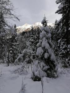 Gambar di galeri bagi Landhaus Brigitte di Flachau