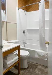 a bathroom with a toilet and a tub and a sink at The Bayview Motel - Fort France, ON - Lakeside Motel in Fort Frances