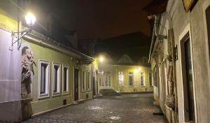 an empty alley at night with buildings and lights at Hősök Tornya Apartman in Kőszeg