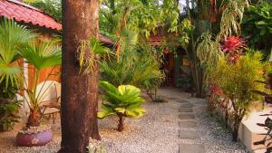 Zahrada ubytování Samara Palm Lodge