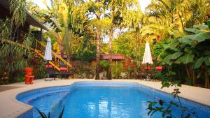 een zwembad in een tuin met bomen bij Samara Palm Lodge in Sámara