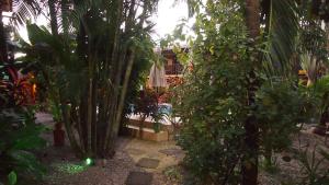 Zahrada ubytování Samara Palm Lodge