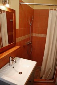 a bathroom with a sink and a shower with a mirror at Green Tree Apartment in Pécs