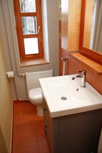 a bathroom with a sink and a toilet and a window at Green Tree Apartment in Pécs