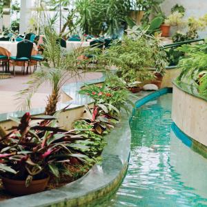 a swimming pool with plants in a restaurant at Hotel Kongresowy in Kielce