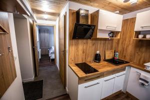 Kuchyňa alebo kuchynka v ubytovaní Apartamenty przy skoczni