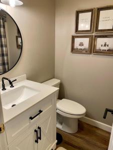 a bathroom with a toilet and a sink and a mirror at Myers Chalet in Ellicottville
